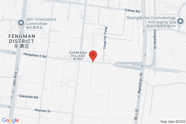 China First Automobile Group Corporation Depot Jilin City, Jilin Light Automotive Interior Components Manufacturing Company; Jilin Fusaite Automotive Interior Components Factory