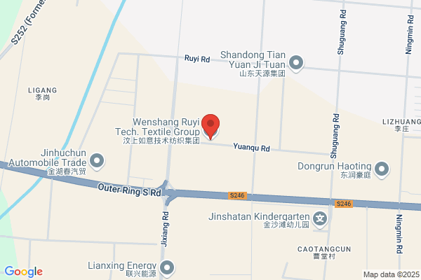 Shandong Ruyi Technology Group Co., Ltd.