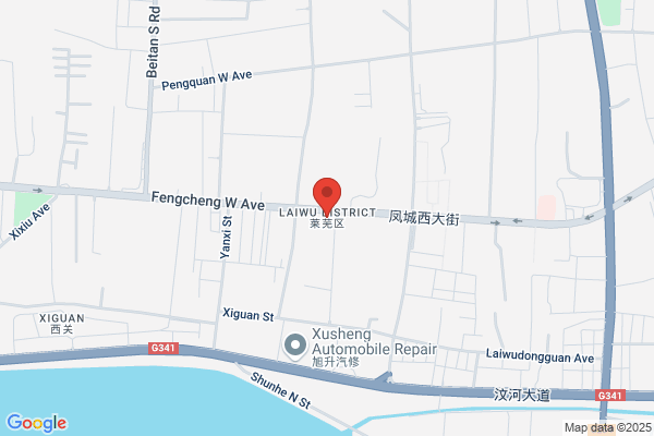 Laiwu Wanxin Economic And Trade Co., Ltd.