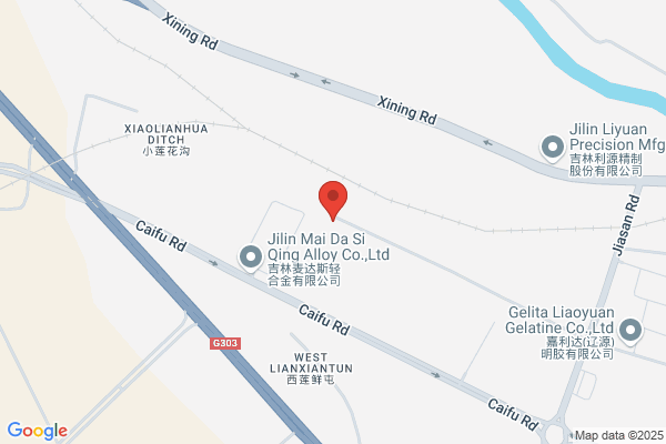Jilin Pharmaceutical Limited Liability Company Liaodong