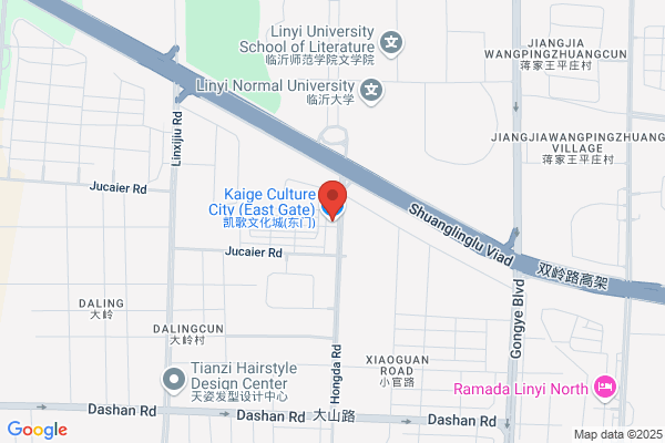 Shandong Haoyan Trading Limited