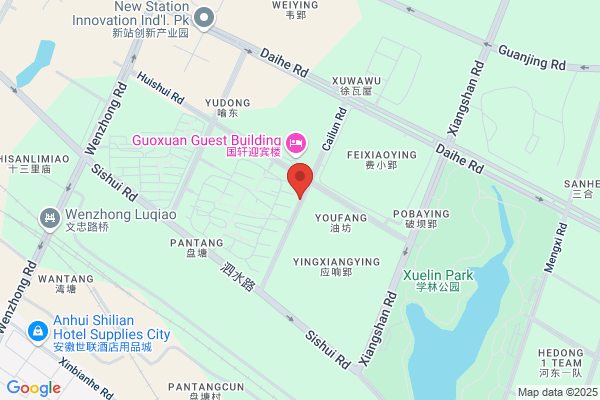 Hanting SH Zhangjiang