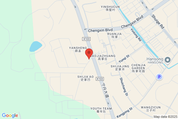 Nanjing Chenguang Group Limited Liability Company
