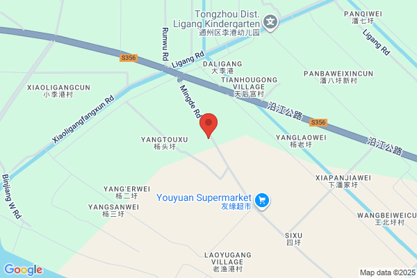 Nantong Dongxing Ltd.