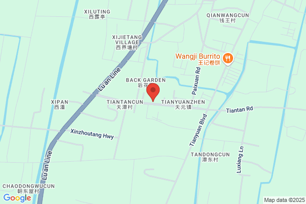 Fanshi Zangxing Antique Furniture Factory