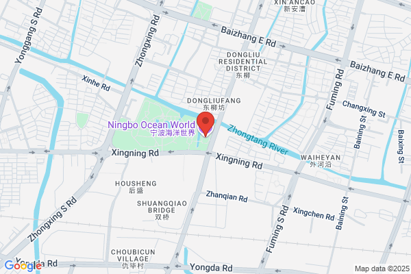 Zhejiangs Ningbo City, Frozen Aquatic Plant