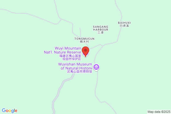 China Fujian Wuyishan National Nature Reserve Zhengshan Tea Co., Ltd.
