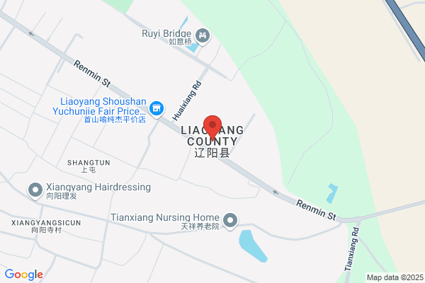 Liaoyang City Dianxianan