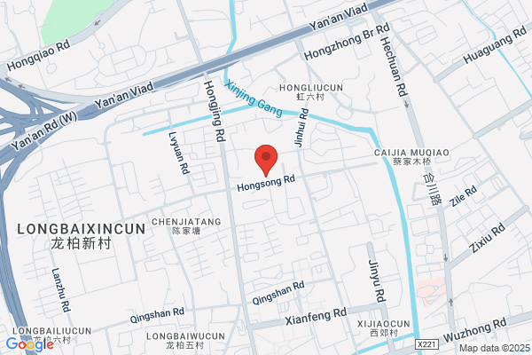 The Shanghai Fashion Wire Co.