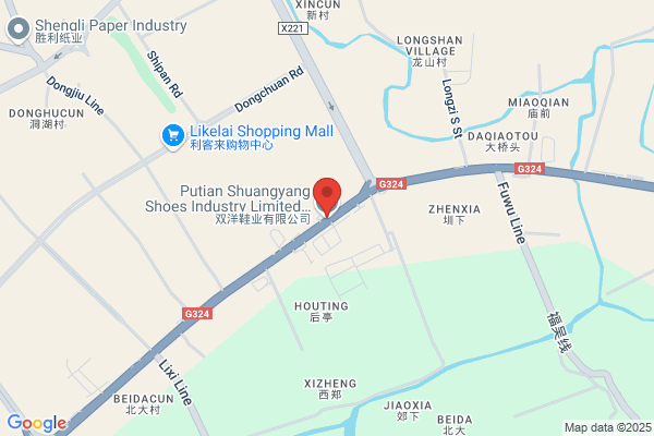 Putiian Shuangfu Shoes  Industry  Co.,ltd.