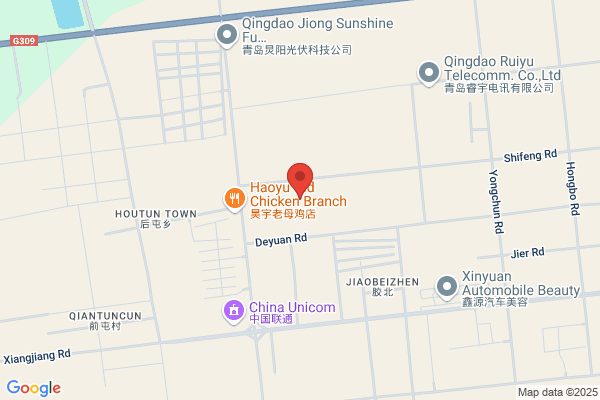 Qingdao Songben Packing Machinery Co., Ltd.