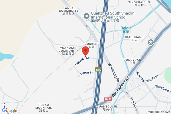 Jingjiang Dongxing Electronic Toys