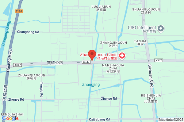 Shanghai Zhong-ou International Group Co., Ltd.