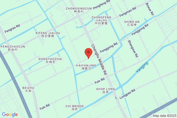 Platinum Pen Co., Ltd. Shanghai