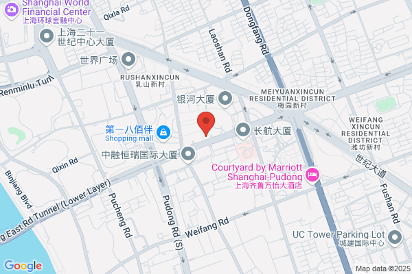 Shanghai Palm Computer Systems Ltd.