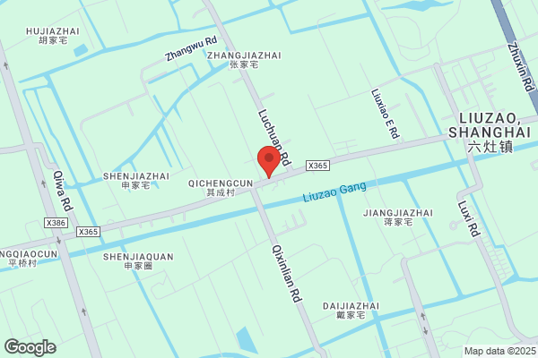 Huada Shanghai Electric Enterprises Ltd.