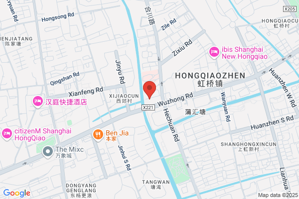 Shanghai Automotive Electric Co. Ltd. Gao Hua