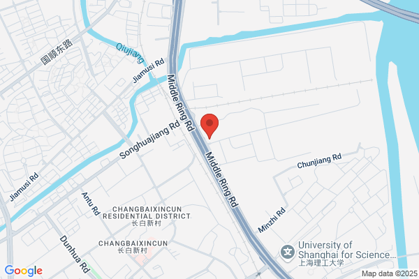 Shanghai Fine Of Voltage Regulator Works