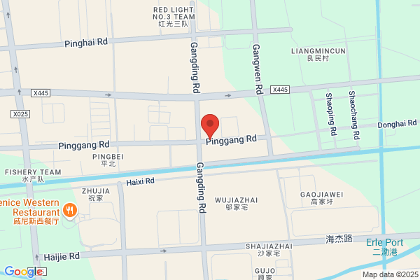 Shanghai Wisking Electric Machine Co., Ltd.