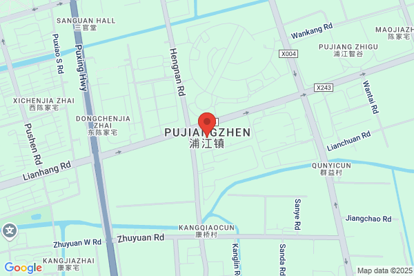 Shanghai Pujiang Meter Plant