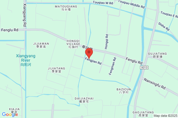 Shanghai Technology Co. Dongshan