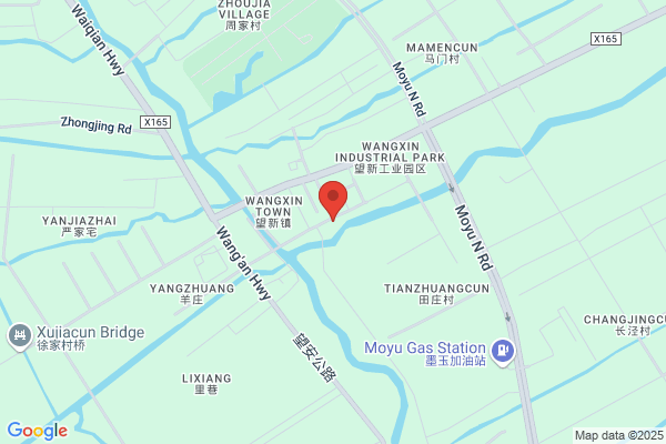 Shanghai Automotive Electric Motor Factory A Branch