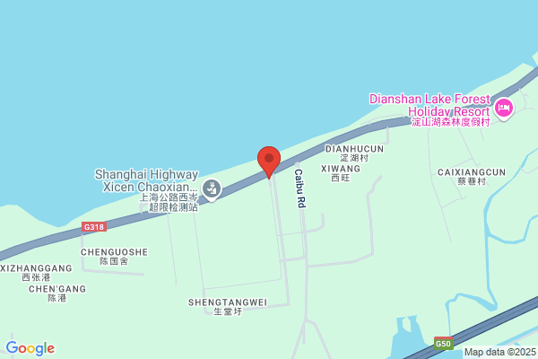 Shanghai Minebea Precision Engineering Services Limited.