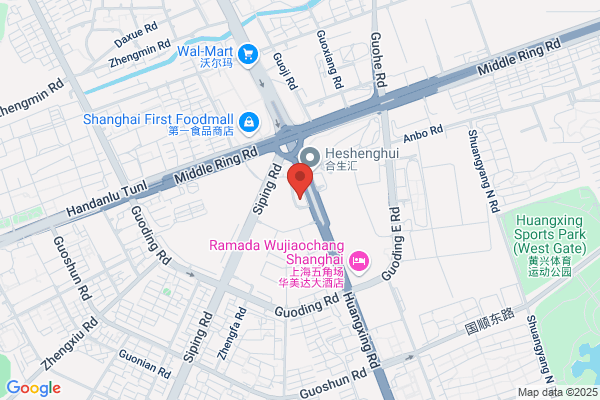 Shanghai Lonalive Electronics Co.,ltd