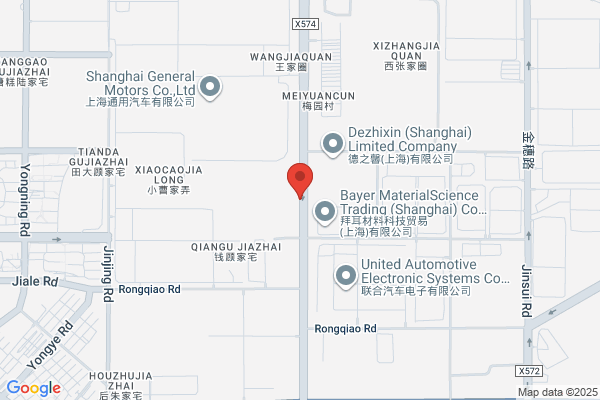 Bushing Auto Plant In Shanghai Pujiang