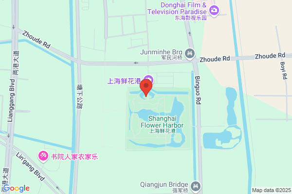 Shanghai Port Drawings Plant