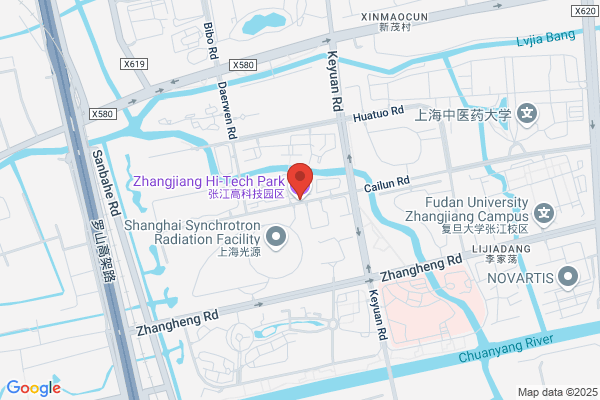 Shanghai Zhangjiang Mills