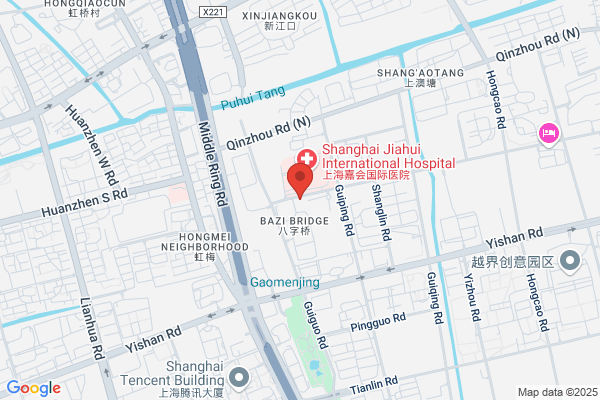 Chinas Township Enterprises Corporation Shanghai Branch