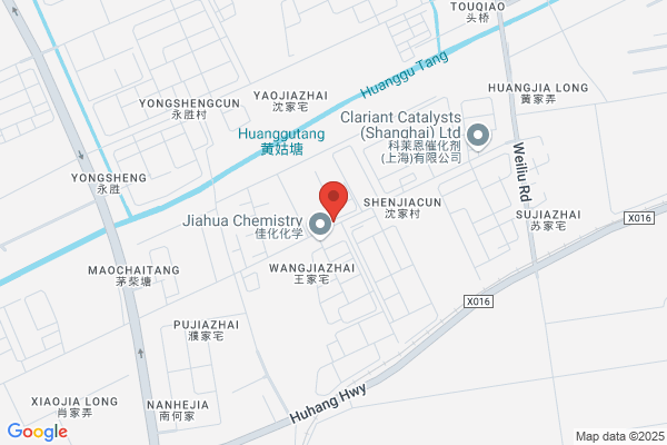 Shanghai Flames Brushes Plant