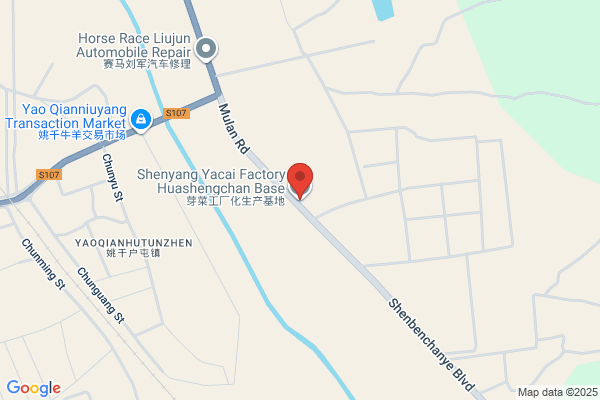 Bongseong Manchu Municipalities Fertilizer Plants; Fengcheng City, Fertilizer Plant