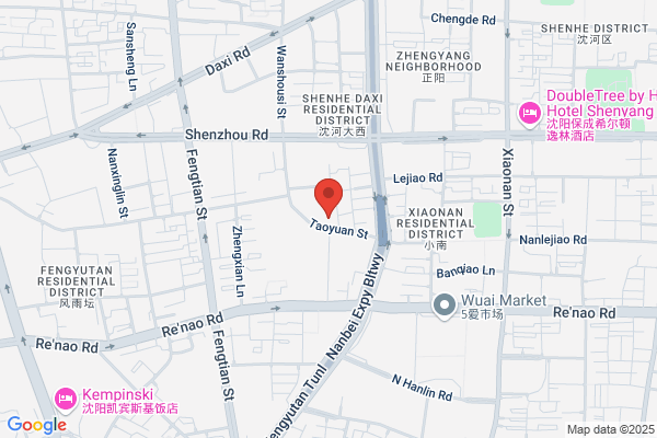 Shenyang City Far East Petrochemical Meter Factory