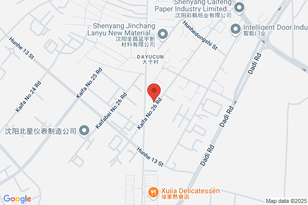 Shenyang International Science And Technology Development Company
