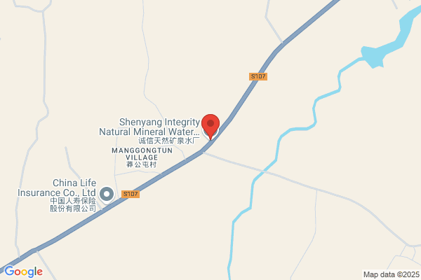Tiexi District Of Shenyang City Ma Zhuang Spring Factory