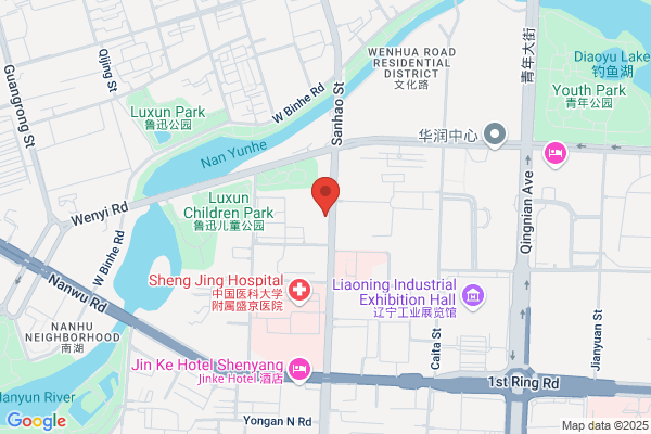 Shenyang Dragon Computer Technology Ltd.