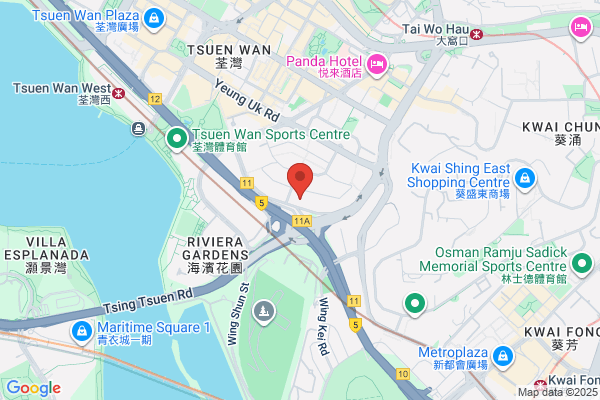 Shenzhen Wingking Corporation