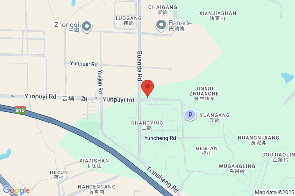 Shenzhen Dalong Packing Machinery Equipment Co.,ltd