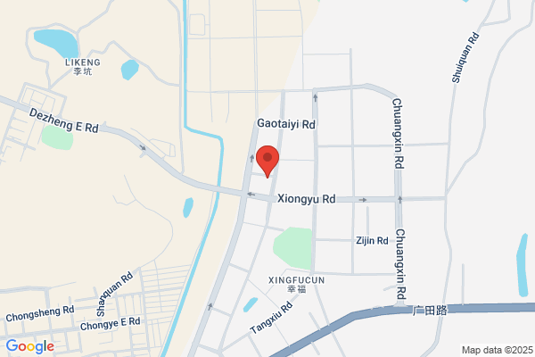 Shenzhen Youngzone Technologies, Ltd.,