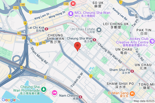 Shenzhen Icon Electronic Technology Co., Ltd.