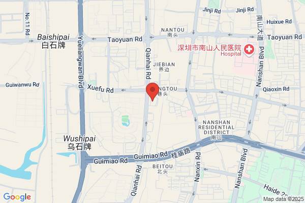 Shenzhen Kinmore Motor Co., Ltd.