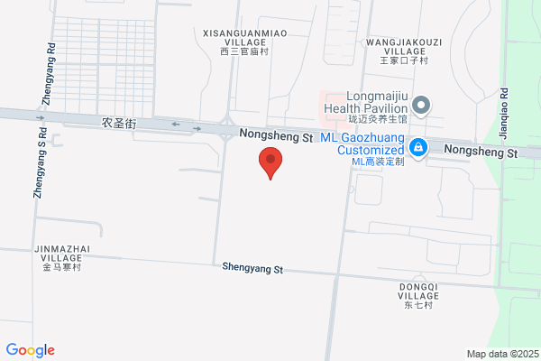 Gaoyi County Fertilizer Plant