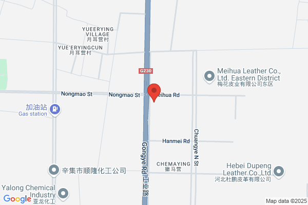 Xinji City Freshmen Leather Factory