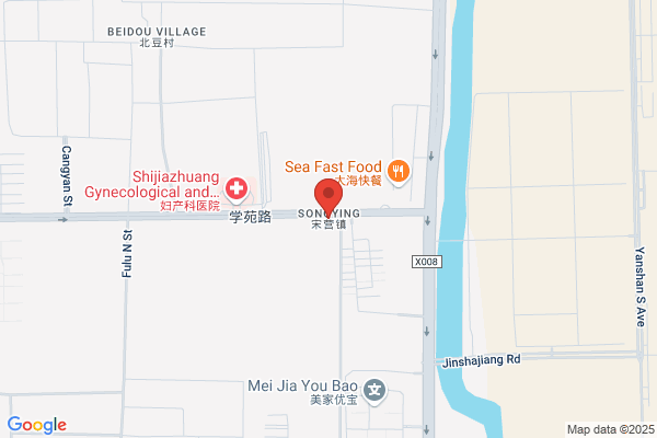 Song Village Liyuan Down Companies; Shijiazhuang Liyuan Down Ltd.