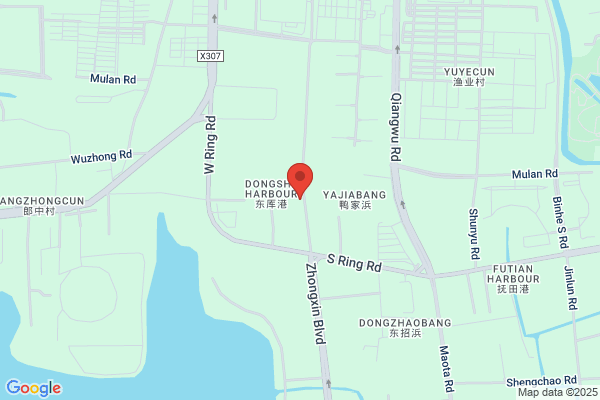 Wujiang Chenlong Xinsheng Textile Co., Ltd.