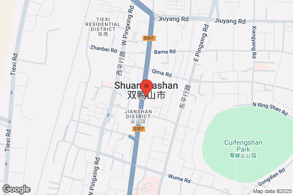 The Influence Of The Director Of The Shanghai Branch