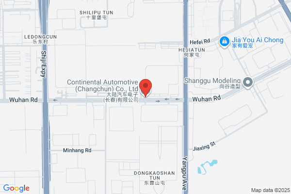 Automobile Decorative Materials Gongzhuling City Plant