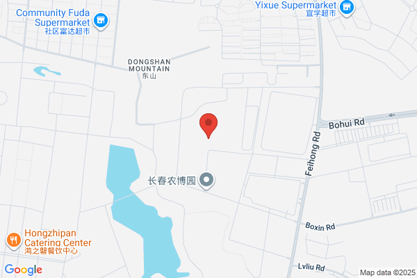 China Changchun International Economic&technical Corp.